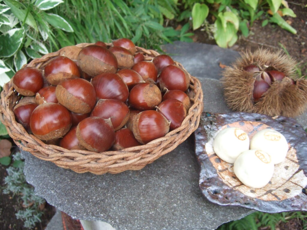 秋も深まりました。見事な小布施の栗です。